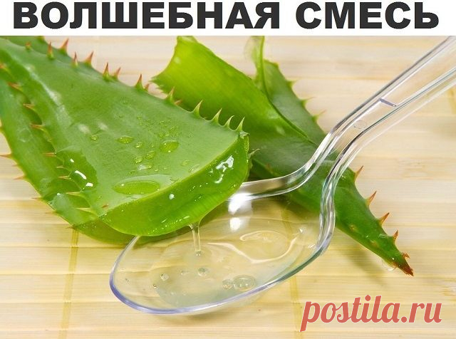 Академик Филатов - смесь от глазных заболеваний | Советы Народной Мудрости