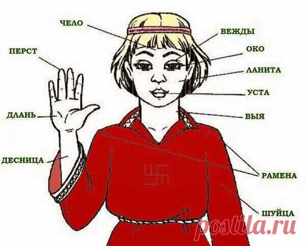 Чтобы мир извратить, нужно просто исказить исКОНную Суть Слова. | Ирина | Яндекс Дзен