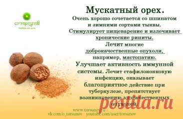 Мускатный орех