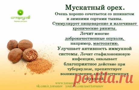 Мускатный орех