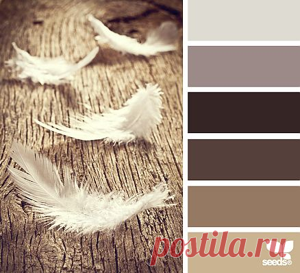 for all who ❤ color | feathered tones