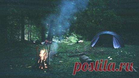 Валентина: Вся наша жизнь--одно мгновенье, не забывай...твори, дерзай, люби...