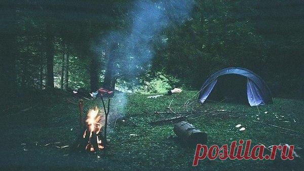 Валентина: Вся наша жизнь--одно мгновенье, не забывай...твори, дерзай, люби...