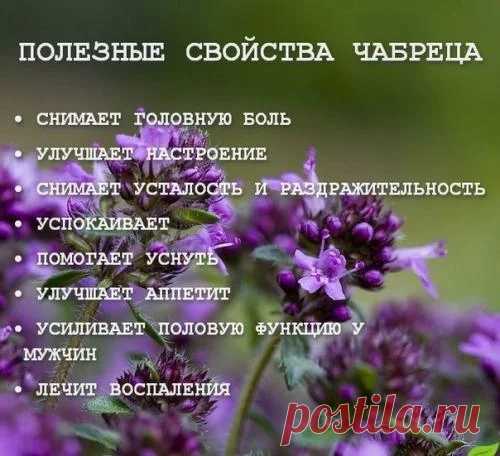 Здоровье - Google+