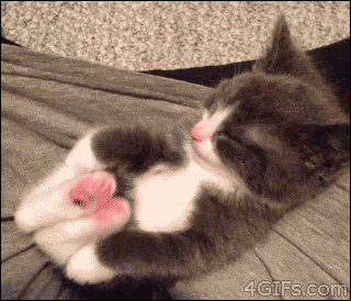 Мой Мир@Mail.Ru