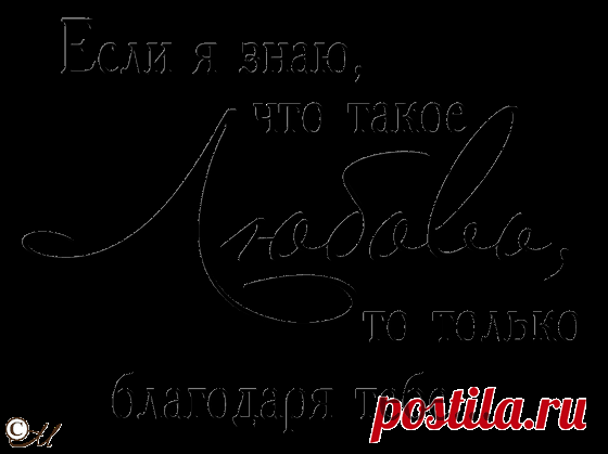 Марина: августа 2011