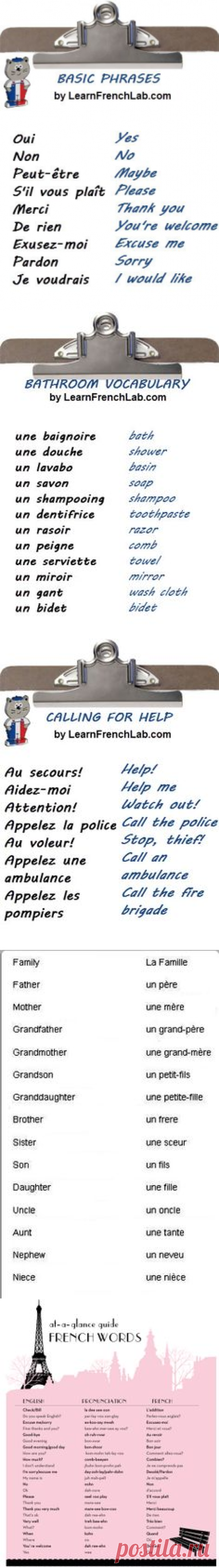 (1) Learn Basic French Phrases with Audio | FRENCH Learning