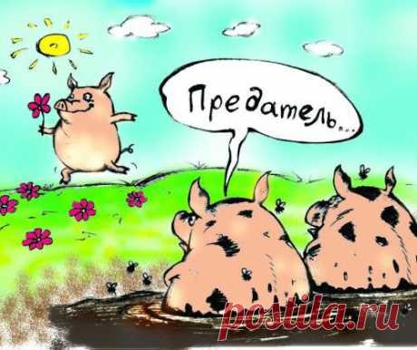 Если приехал в Россию,бросив Родину - молодец! Если уехал из России - подонок!