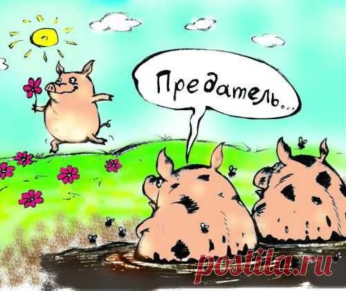 Если приехал в Россию,бросив Родину - молодец! Если уехал из России - подонок!
