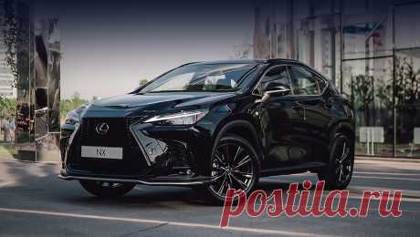 Lexus NX 250 2022: цена, характеристики, комплектация, салон, экстерьер