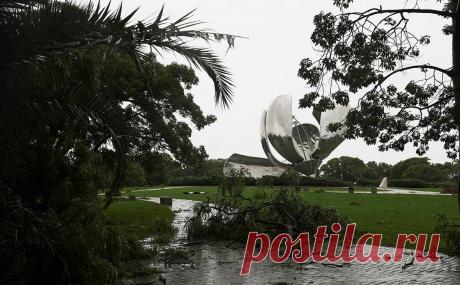 В Буэнос-Айресе ураган сломал символ города — железный цветок. В столице Аргентины, Буэнос-Айресе, в результате урагана оказался поврежден символ города — Floralis Genérica — гигантский цветок из алюминия, который находится в городе с 2002 года.
