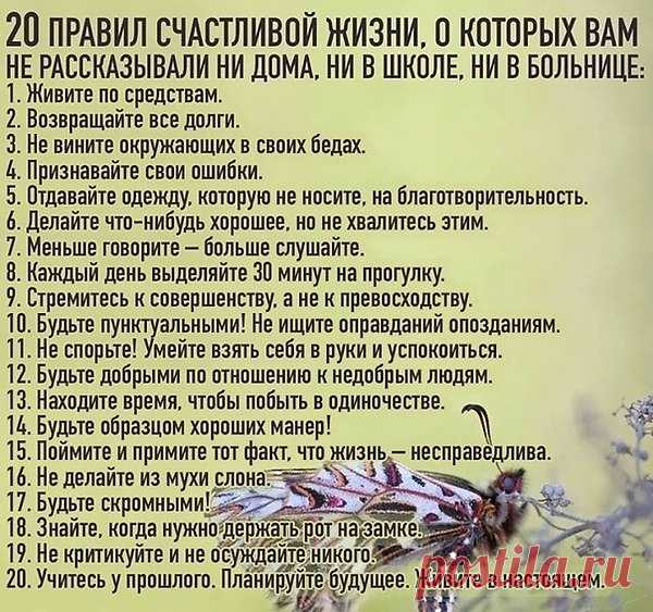 Интересные новости