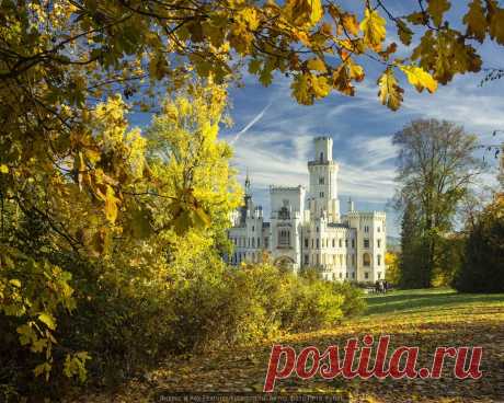 Яндекс.Картинки: поиск изображений в интернете, поиск по картинке