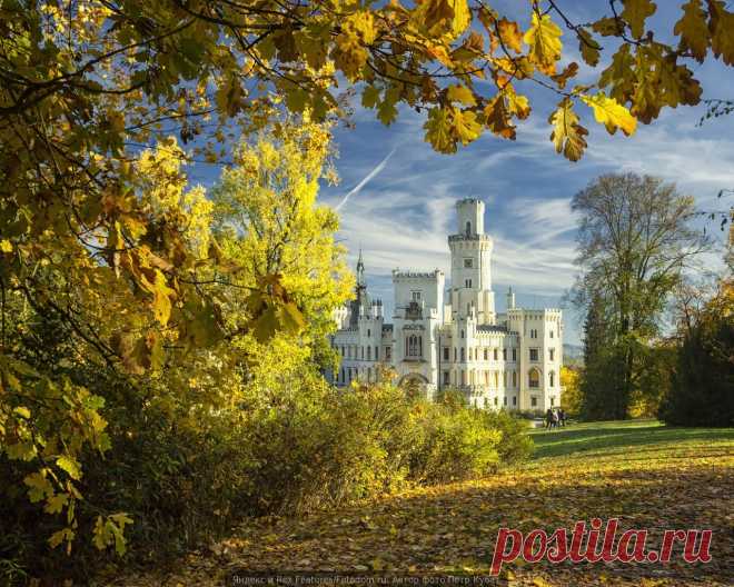 Яндекс.Картинки: поиск изображений в интернете, поиск по картинке