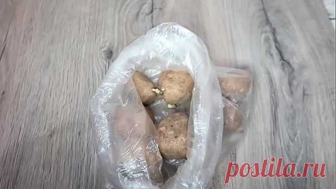 Необычный способ закрашивания седины