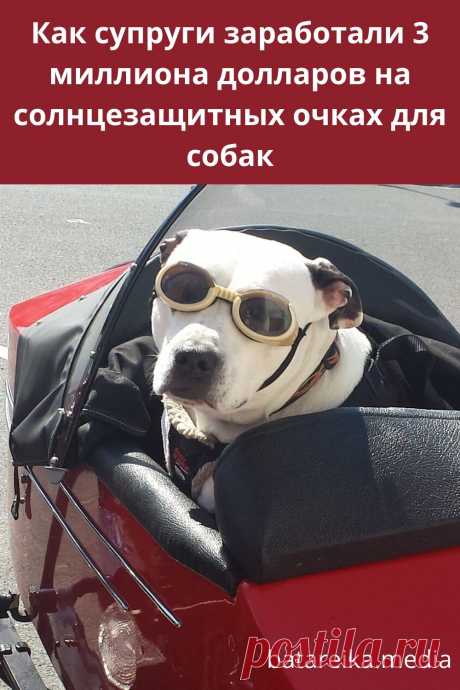 Очки для собак: история на 3 миллиона долларов.
Семейная пара Кен и Рони ди Лулло вписали себя в историю предпринимательства, как авторы безумной идеи, принесшей им 3 миллиона долларов. По всем прогнозам, бизнес не должен был стать успешным. Но получилось иначе. Однажды Рони и Кен заметили, что их пес щурится на солнце - читайте продолжение по ссылке и подписывайтесь! #бизнес #бизнес_идеи #мотивация #успех #деньги