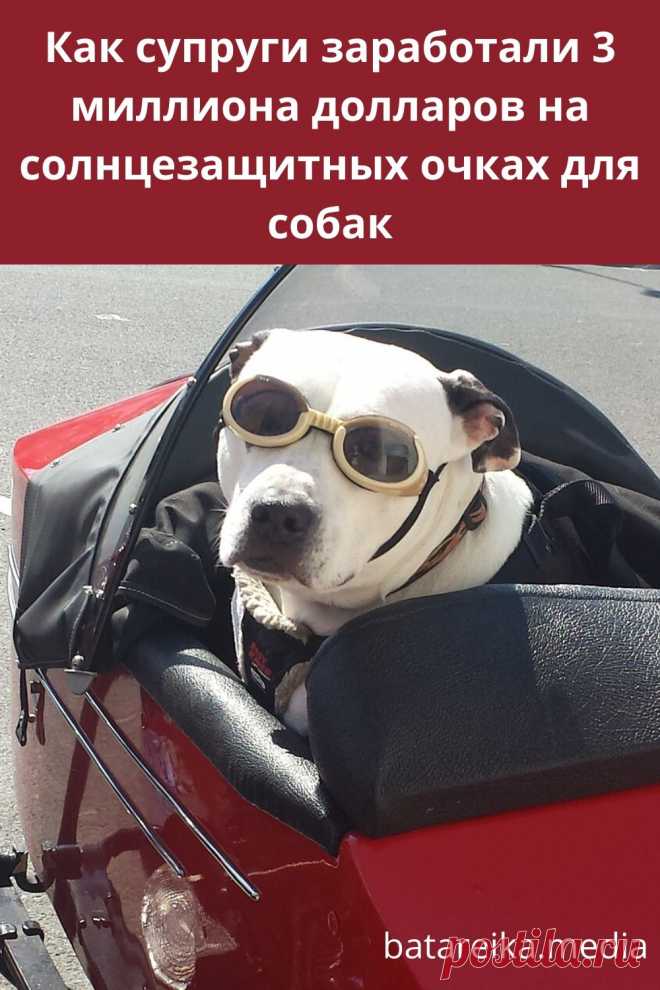 Очки для собак: история на 3 миллиона долларов.
Семейная пара Кен и Рони ди Лулло вписали себя в историю предпринимательства, как авторы безумной идеи, принесшей им 3 миллиона долларов. По всем прогнозам, бизнес не должен был стать успешным. Но получилось иначе. Однажды Рони и Кен заметили, что их пес щурится на солнце - читайте продолжение по ссылке и подписывайтесь! #бизнес #бизнес_идеи #мотивация #успех #деньги