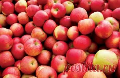Названы 6 лучших продуктов для укрепления легких » Кулинарный сайт
