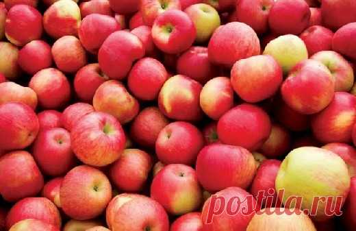 Названы 6 лучших продуктов для укрепления легких » Кулинарный сайт