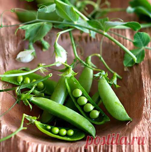 Как заготовить горох на зиму - мариновать, солить сушить, заморозить