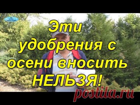Не вносите ЭТИ удобрения осенью в почву!