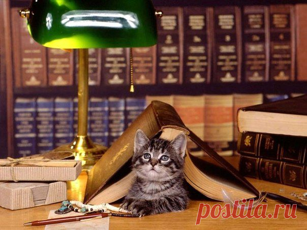 ГРУППА  КОНТАКТ  Дневник успеха...Книги формирующие предпринимательский характер и гарантирующие успех! 

1. Карл Сьюэлл, Пол Браун «Клиенты на всю жизнь»
2. Стивен Кови «7 навыков высокоэффективных людей»
3. Роберт Чалдини «Психология влияния»
4. Антон Попов «Блоги. Новая сфера влияния»
5. «Разговор дороже денег. Как блоггинг меняет общение бизнеса и потребителей»