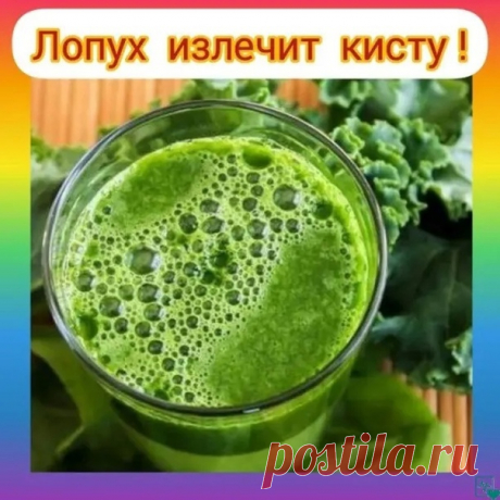 Фотографии на стене сообщества | ВКонтакте