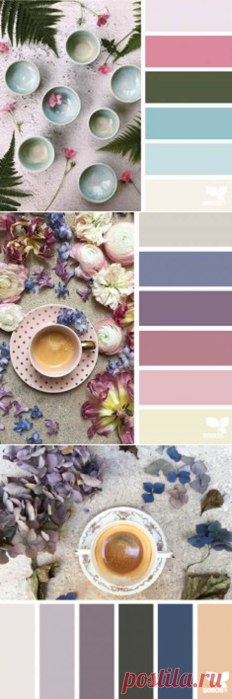 (954) Pinterest