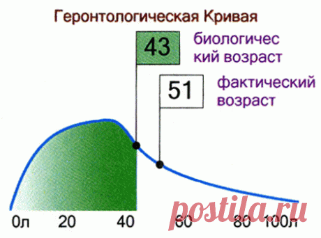 Лучший способ сохранить молодость. | molodeem.su