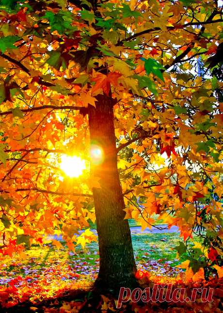 colour my world
