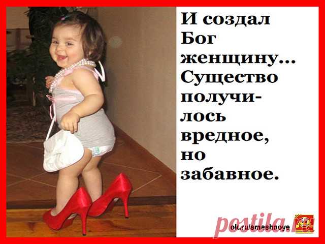 Смехопанорама