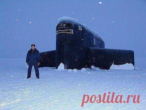 Собаки и кошки, щенки и котята, милашки из милашек - каких тут только нет фотографий и все классы просят..... А вот простая фотка Российского военмора - фотография концентрации 