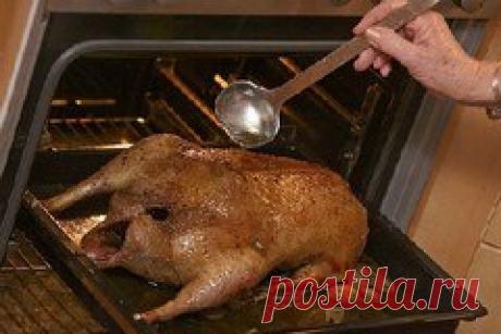 Немецкий рецепт фаршированного рождественского гуся / Изучение немецкого языка