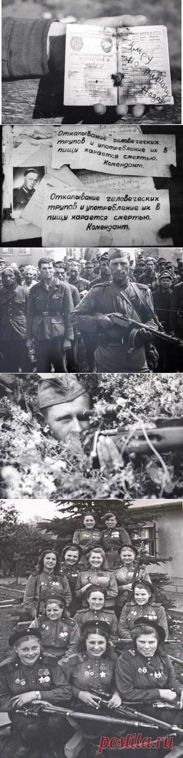 Великая Отечественная... / Назад в СССР / Back in USSR