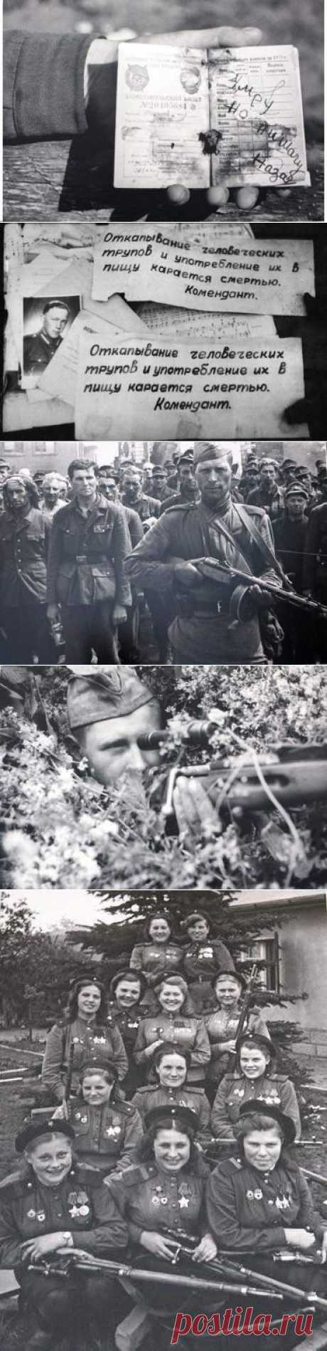 Великая Отечественная... / Назад в СССР / Back in USSR