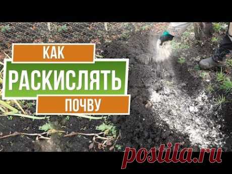 Проверяем кислотность почвы народный способ или современный ✔️ Как раскислять почву
