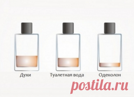 Разница между одеколоном, духами, туалетной водой и парфюмом