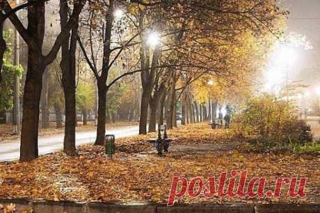 #Осень #Запорожье