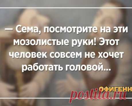 25 отборных анекдотов из столицы юмора