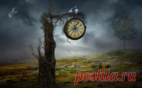 Как “теория получаса” может изменить вашу жизнь. Реальность такова, что успех требует времени. Большой успех требует много времени. Ричард Брэнсон не стал миллионером за одну ночь. Мадонна не проснулась в одно утро королевой поп‑музыки. Дэвид Бекхэм не превратился в супер футболиста за несколько тренировок. Теория получаса. Достоинство этого метода заключается в том, что он подходит абсолютно для всех и легко интегрируется в любой график. Общая идея заключается в том, что вы делаете одно…