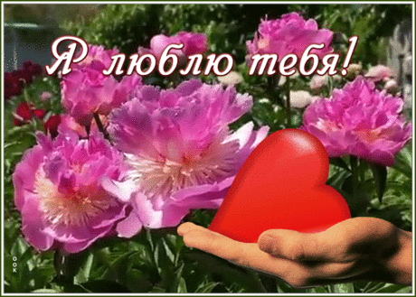 Открытка люблю с цветами