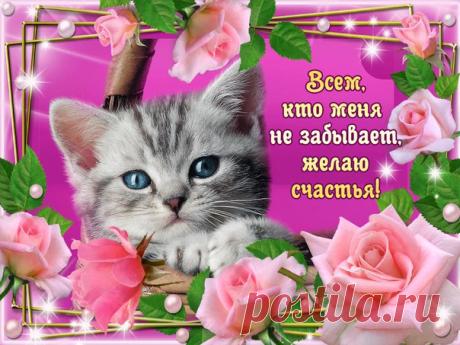 КРАСИВЫЕ КОЛЛАЖИ !