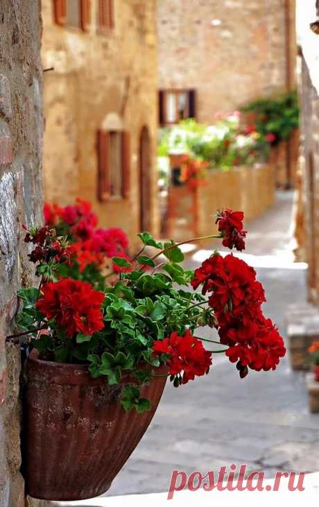 Rσѕє R - Google+