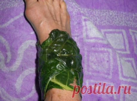 ЛЕЧЕНИЕ СУСТАВОВ КАПУСТНЫМ ЛИСТОМ 
Возьмите капустный лист, сделайте на нем небольшие засечки. 
Нагрейте над плитой или в микроволновой печи и намажьте тонким слоем меда. 
Приложите капустно-медовый компресс к пораженному суставу, сверху положите целлофан, закрепите бинтом и укутайте теплым платком или шарфом. 
Подобные компрессы желательно делать на ночь, уже после нескольких применений вы забудете о боли в коленях. 
Рекомендуемый курс лечения – 1 месяц. 
Даже если у вас нет меда, то эффект