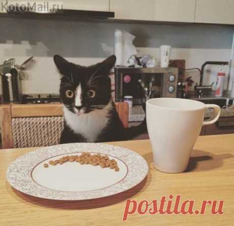Ну, ты и жадина...