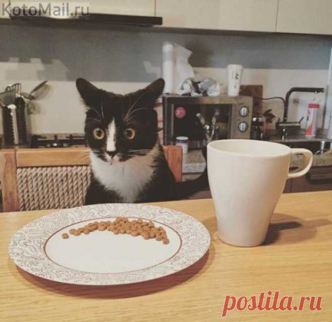 Ну, ты и жадина...