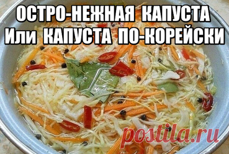 Дорогие мои читатели! Полюбила семья и мои гости эту остренькую капустку, теперь мой зимний будний, да и праздничный стол, всегда вкусно украшает остренькая капусточка. Если Вы один раз приготовите, то уже не сможете отказаться от этого рецепта, уж больно остро-вкусная получается!