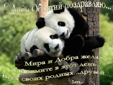 Галерея красивых, анимационных открыток с Днем объятий.