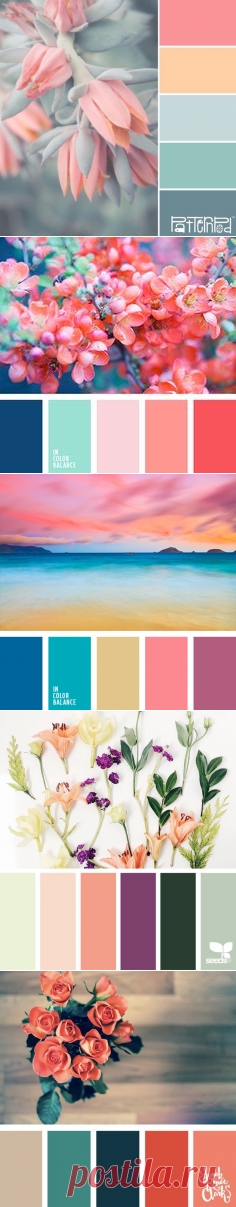 (953) Pinterest