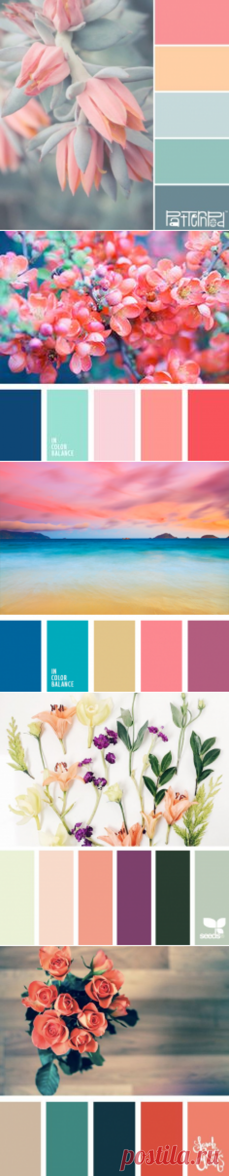 (953) Pinterest